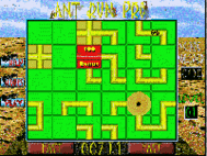 Ant Pro Run Jr. screenshot